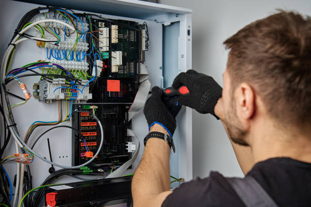 Licensed Electrical Panel Upgrade service in Fredonia, NY - No Joke electrician